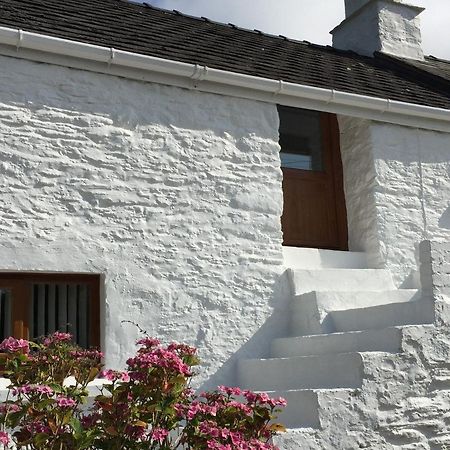 Little Barn Cottage Newport  Exterior foto